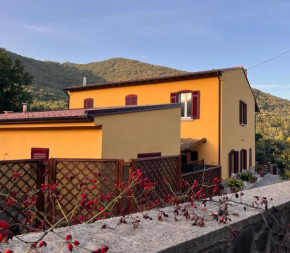 B&B La Fucinaia Pet Friendly Adults only
